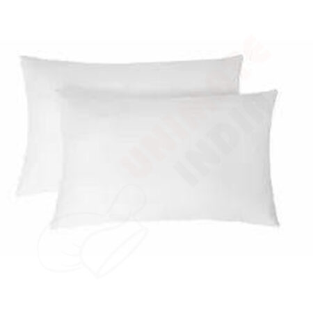 Pillow 1kg(2)20x30 for 300TC