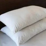 Pillow 1kg(1)20x30 for 200TC