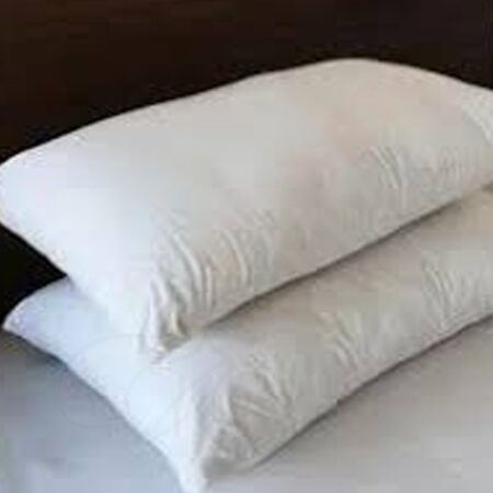 Pillow 1kg(1)20x30 for 200TC