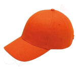 P Cap PC-04