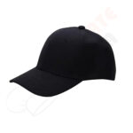 P Cap PC-02