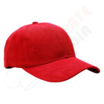 P Cap PC-01