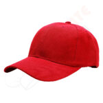 P Cap PC-01